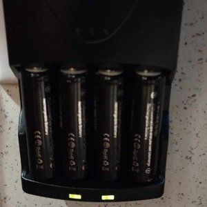 compact folding US plug AA/AAA battery wall charger